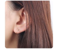 Gold Plated Silver Studs Earring STS-2487-GP